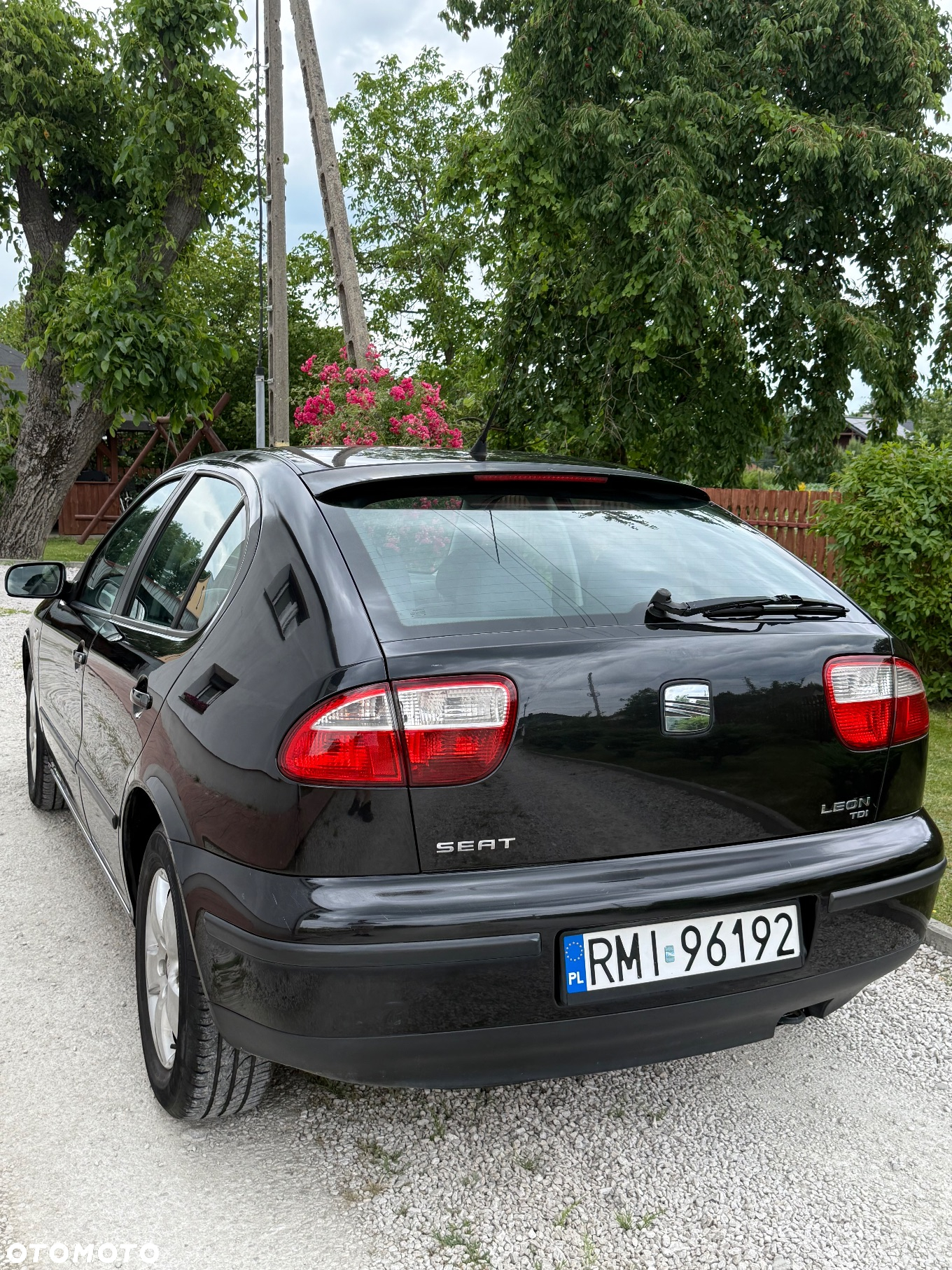 Seat Leon - 8