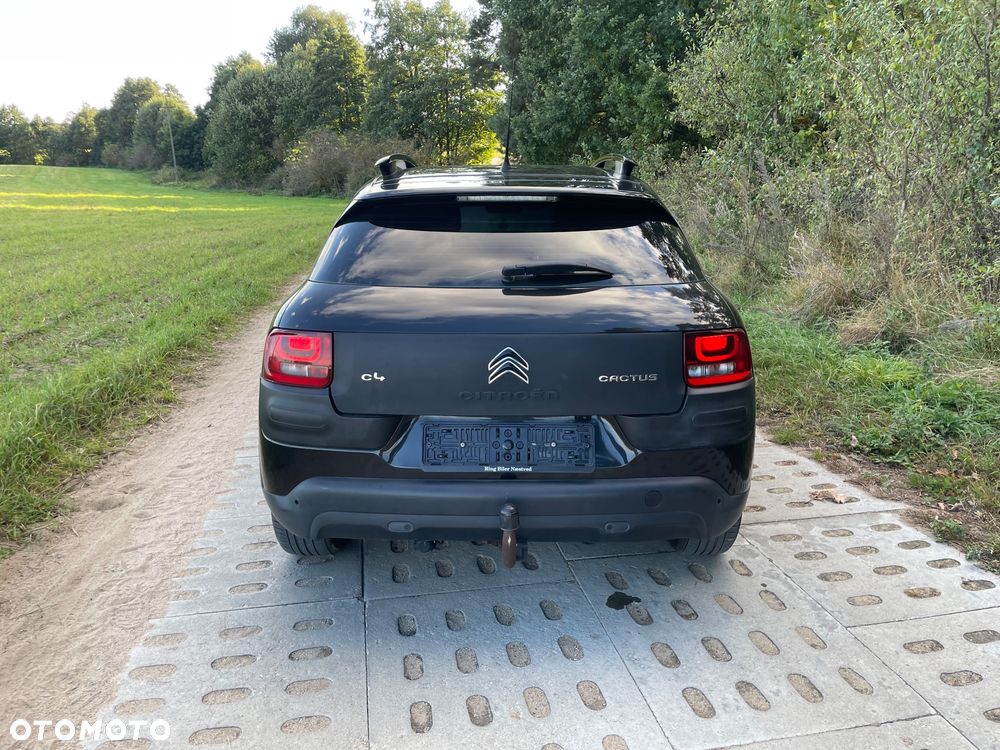 Citroën C4 Cactus 1.6 BlueHDi Shine - 6