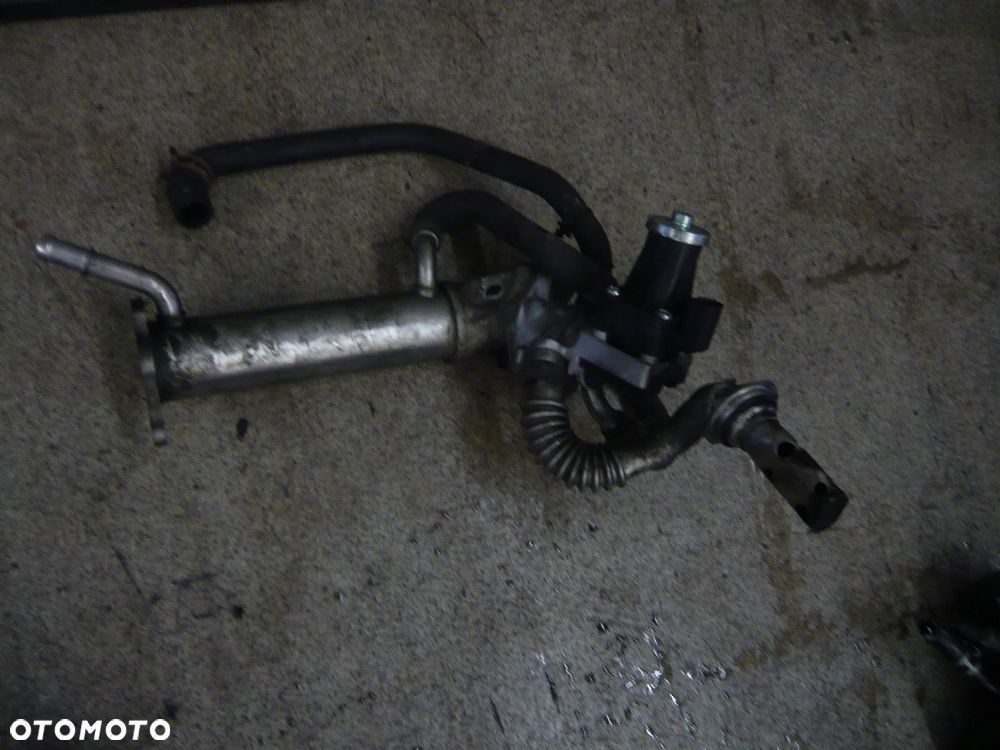 Chłodnica spalin EGR Ford Transit Custom - 1