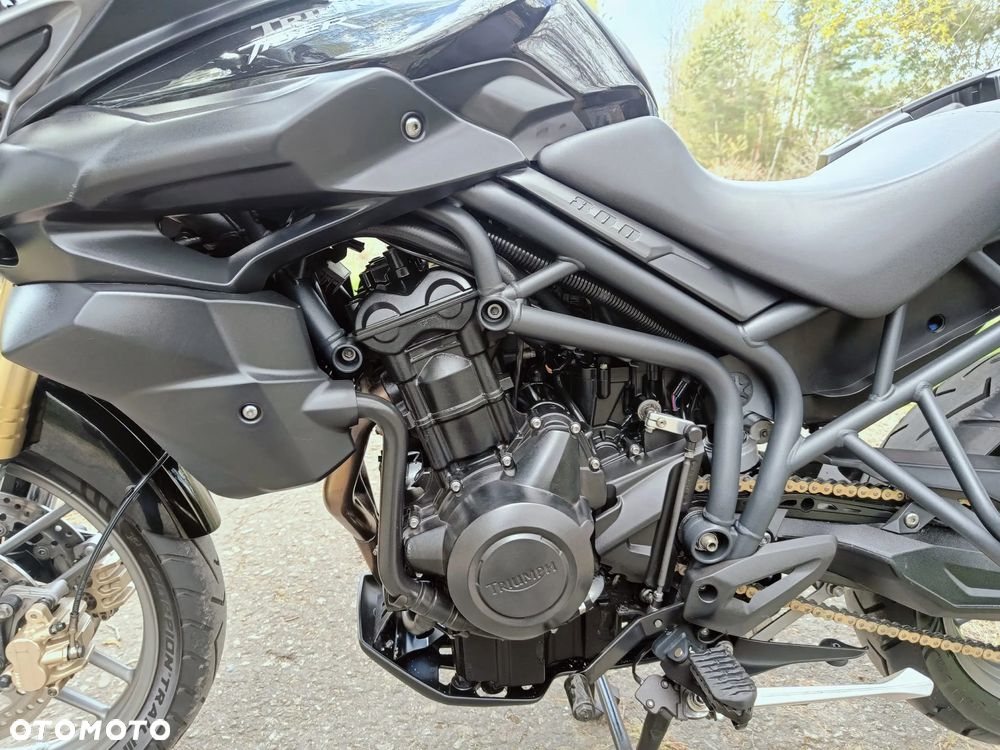 Triumph Tiger - 16