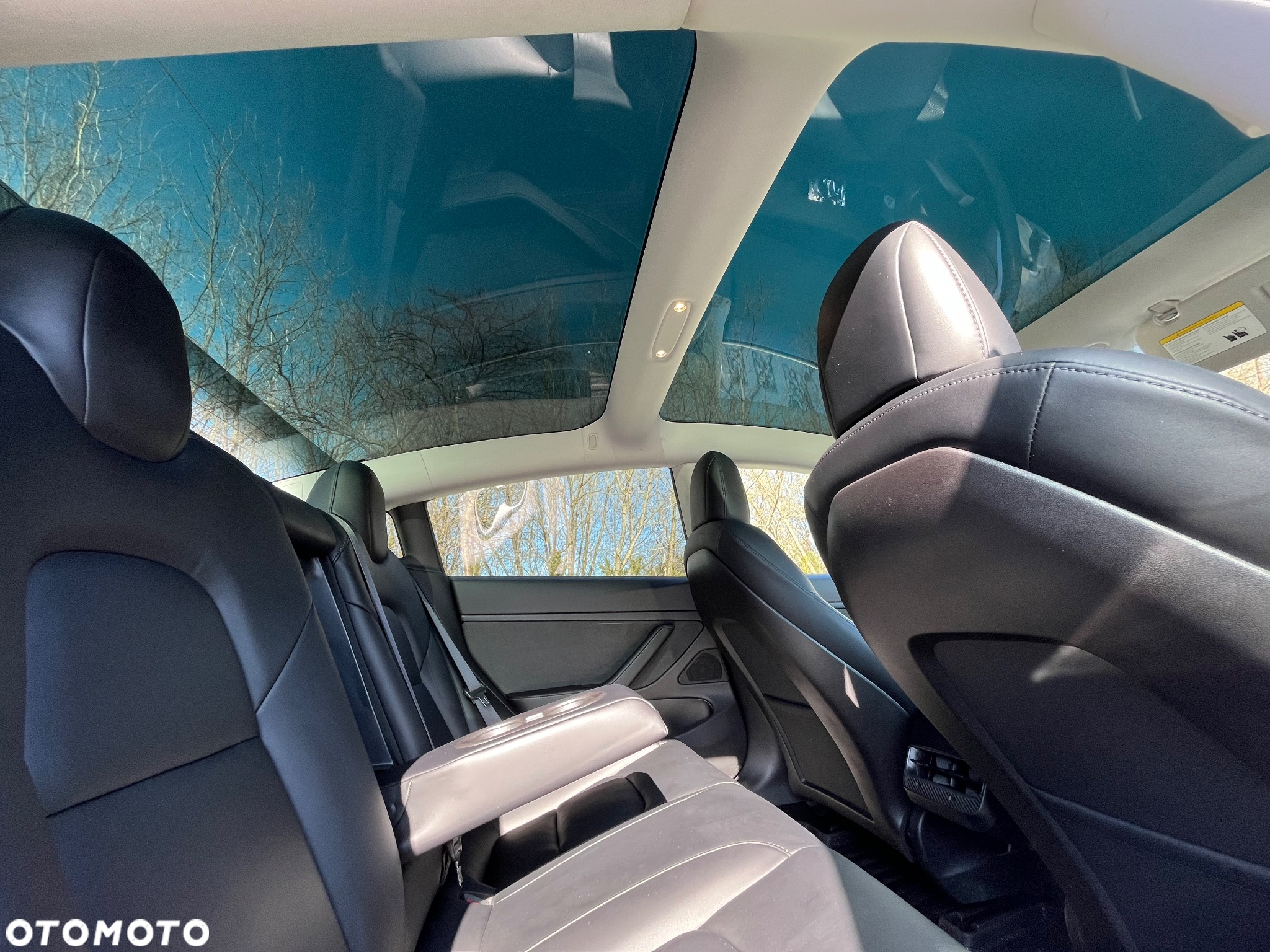 Tesla Model 3 Standard Reichweite Plus Hinterradantrieb - 12