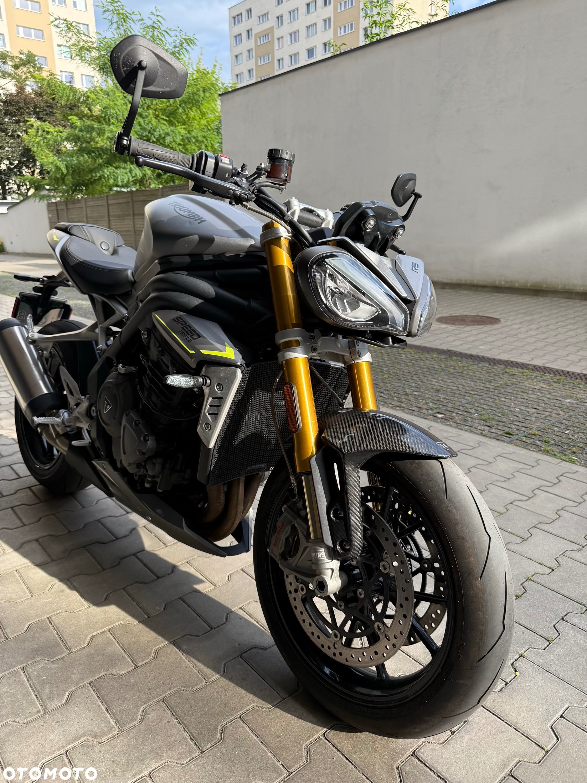 Triumph Speed Triple - 30