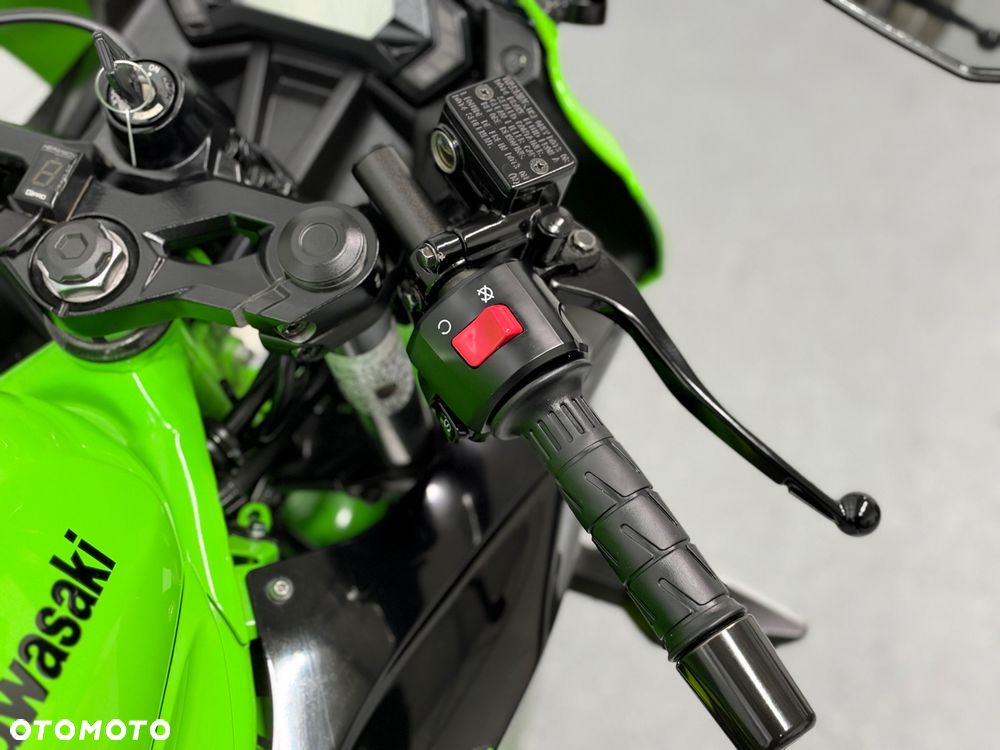 Kawasaki Ninja - 19