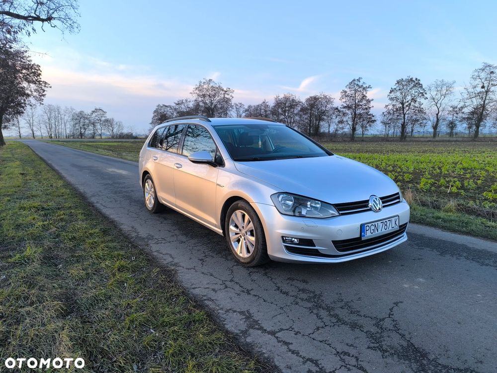 Volkswagen Golf - 19