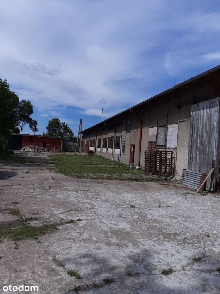 Działka o pow 5000m2 z bud prod-hand-mag 900m2 - Pełny obrazek: 5/12