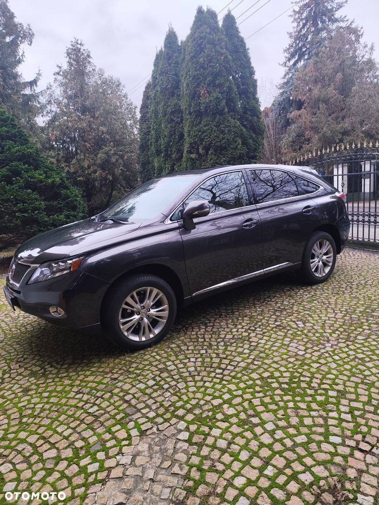 Lexus RX Standard - 1