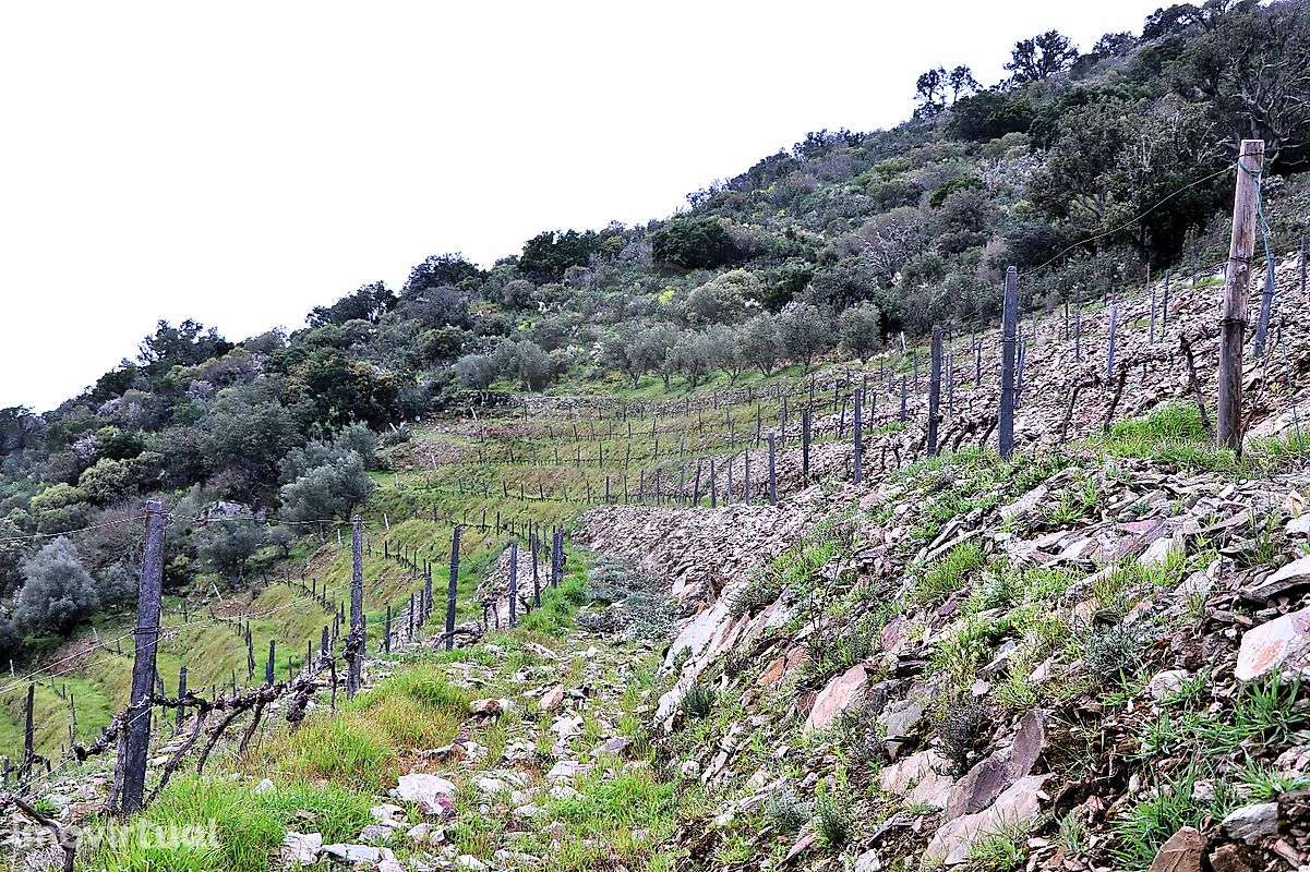 Terreno  para venda - Grande imagem: 4/11