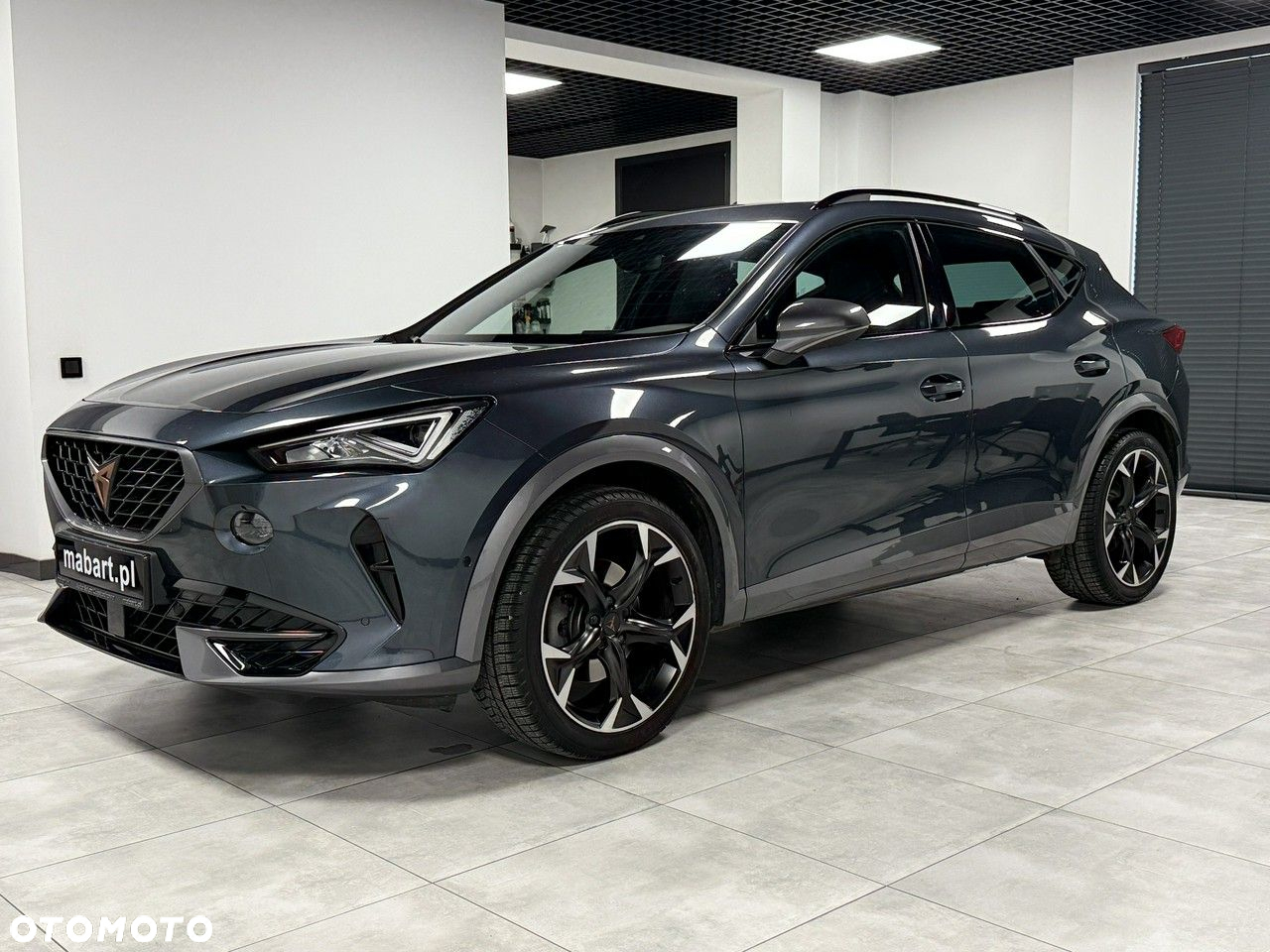 Cupra Formentor 2.0 TSI 4Drive DSG - 4