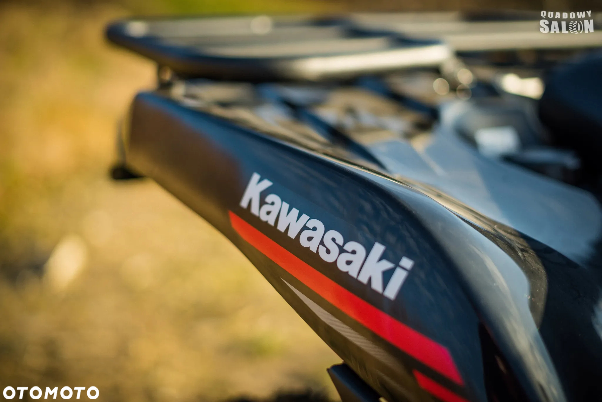 Kawasaki Brute Force - 13