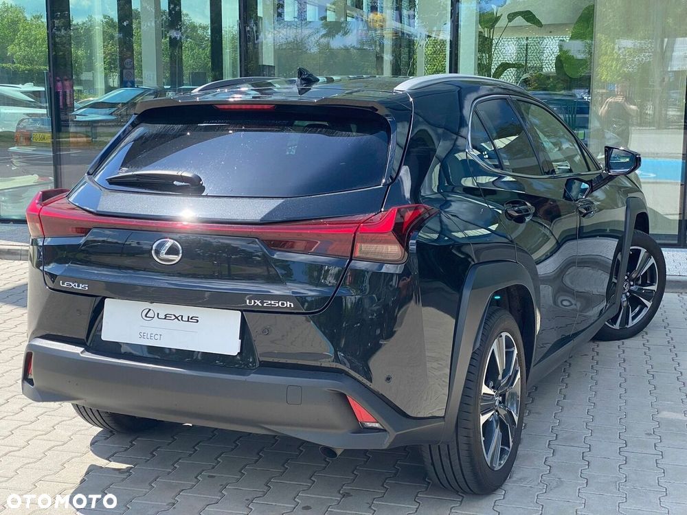 Lexus UX 250h GPF Business 2WD - 12