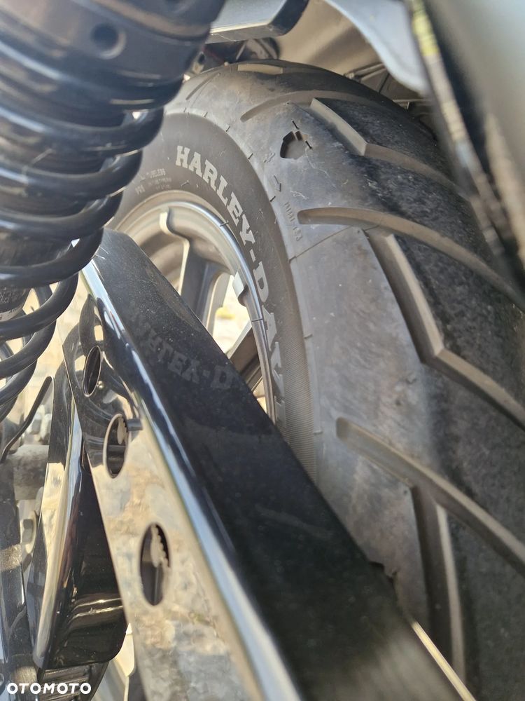 Harley-Davidson Sportster Iron 883 - 15