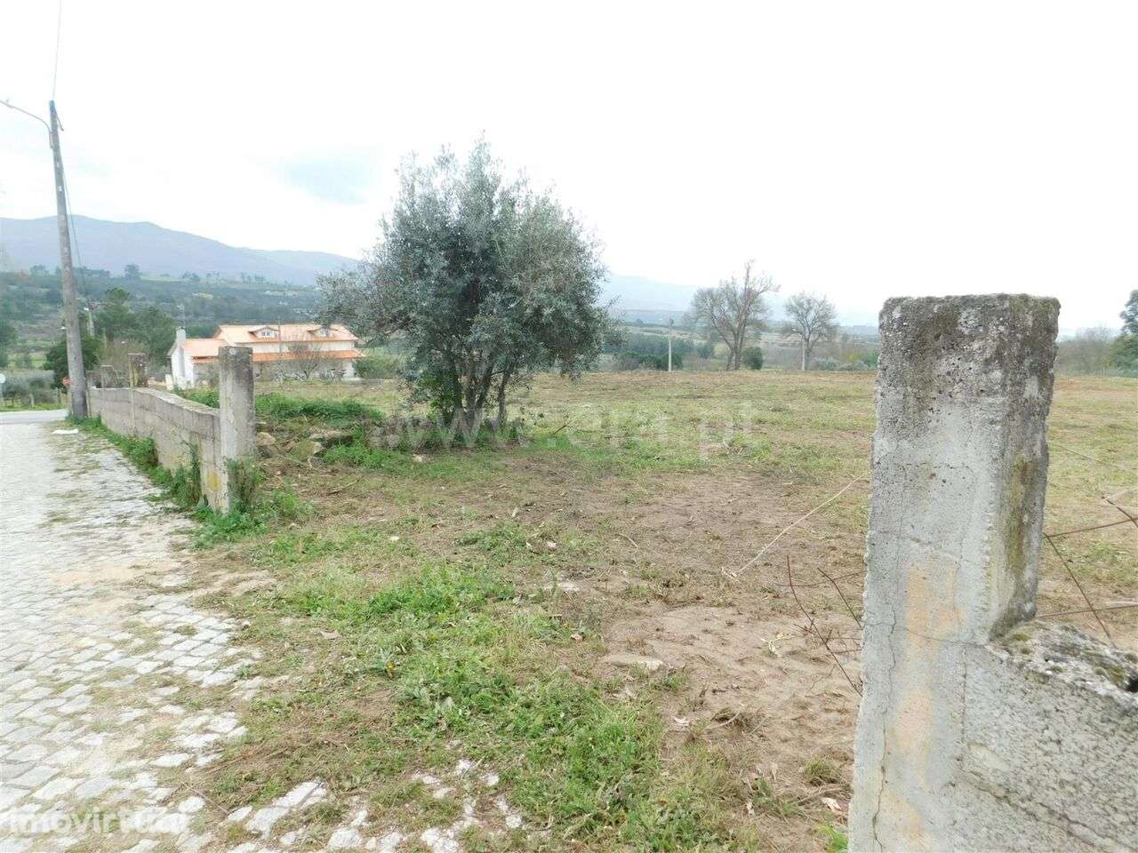 Terreno / Celorico da Beira, Carrapichana - Grande imagem: 3/12