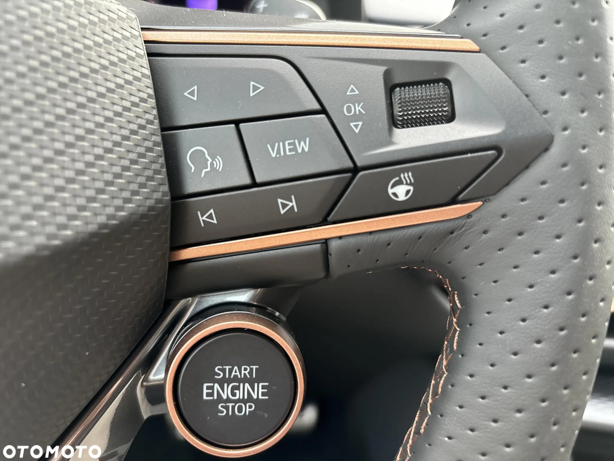 Cupra Terramar - 21