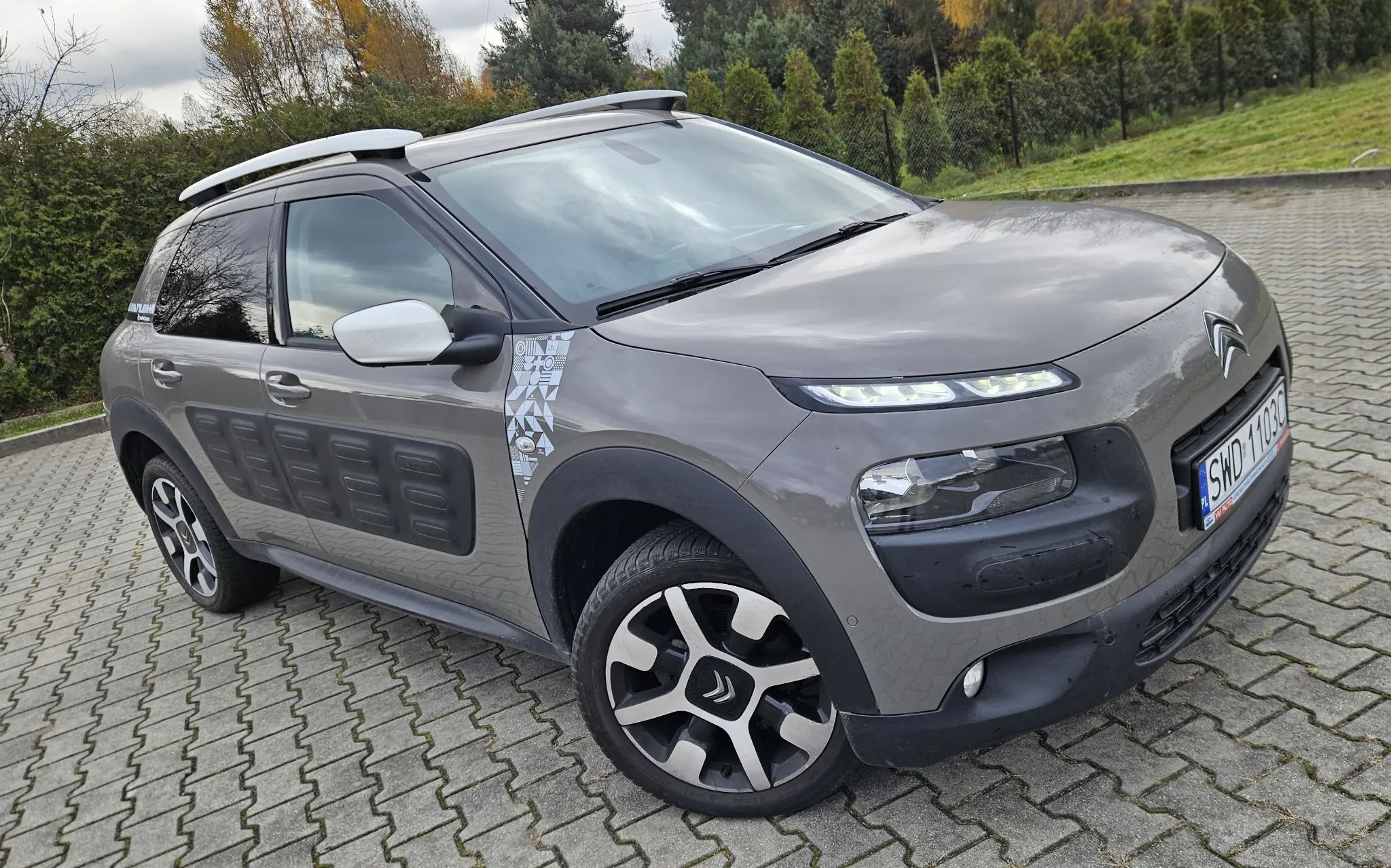 Citroën C4 Cactus 1.6 Blue HDi Shine - 1