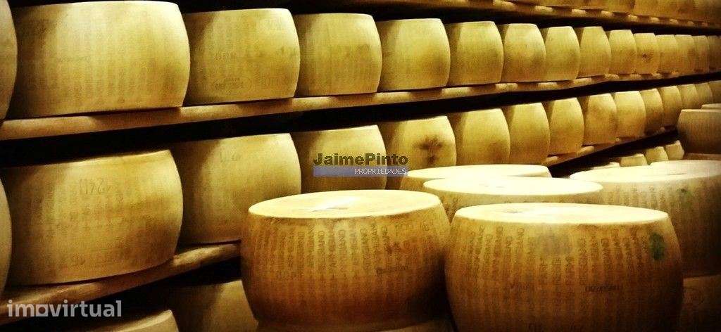 Indústria, Fábrica de Queijo, Participação maioritária. Portugal, G... - Grande imagem: 2/3