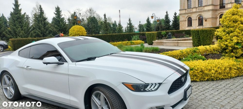 Ford Mustang 2.3 EcoBoost - 19