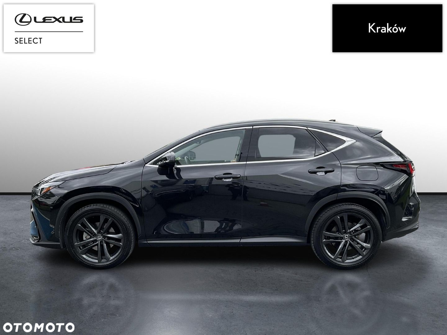 Lexus NX - 2