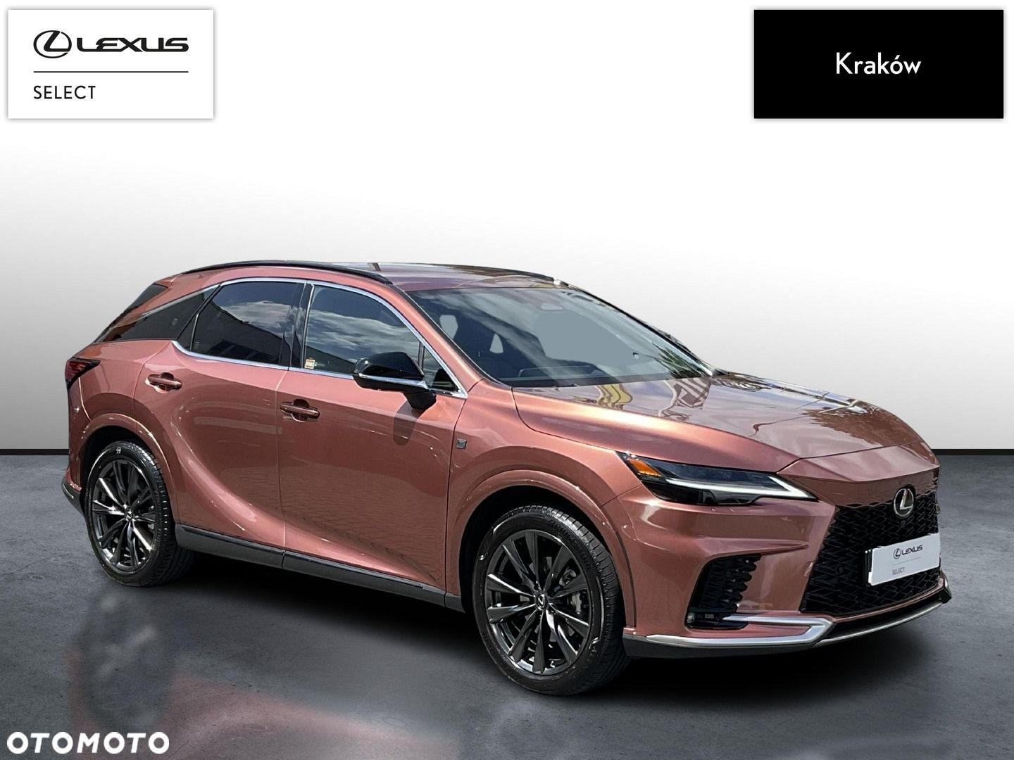 Lexus RX - 7