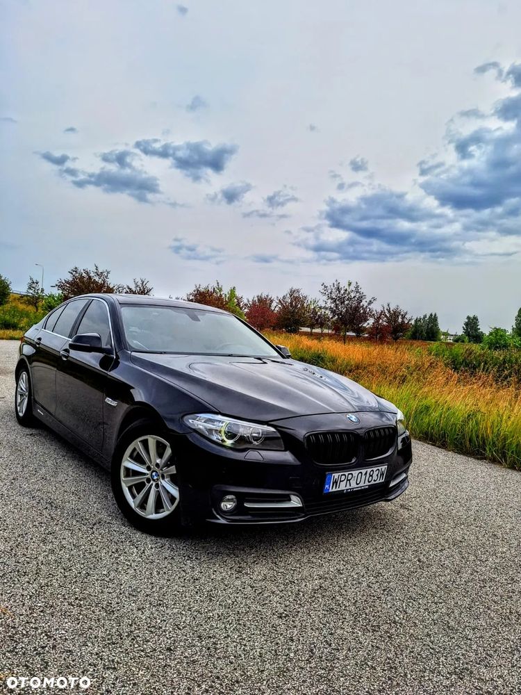BMW Seria 5 528i Luxury Line - 12