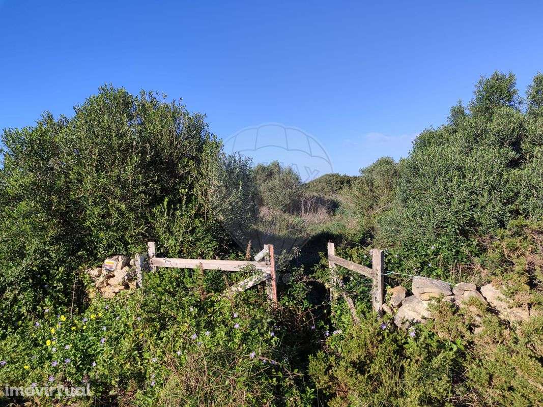 Terreno  para venda - Grande imagem: 2/11