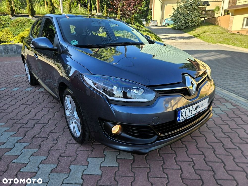 Renault Megane 1.6 16V 110 Authentique - 11