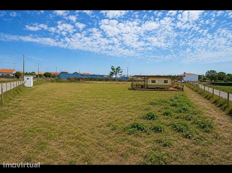 Excelente terreno Vieira de Leiria