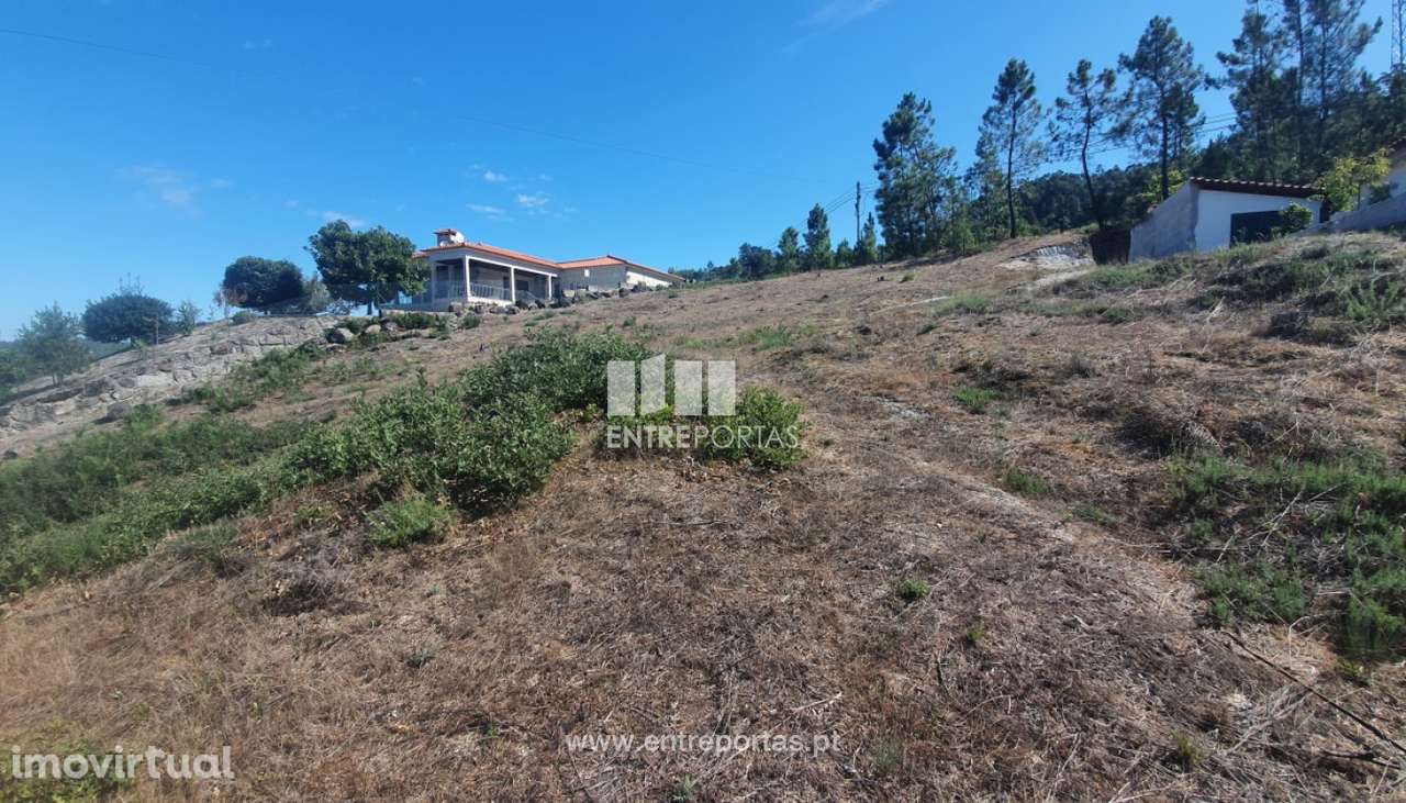 Venda Terreno com 1264 m2 e viabilidade de construção, São Simão, - Grande imagem: 2/30