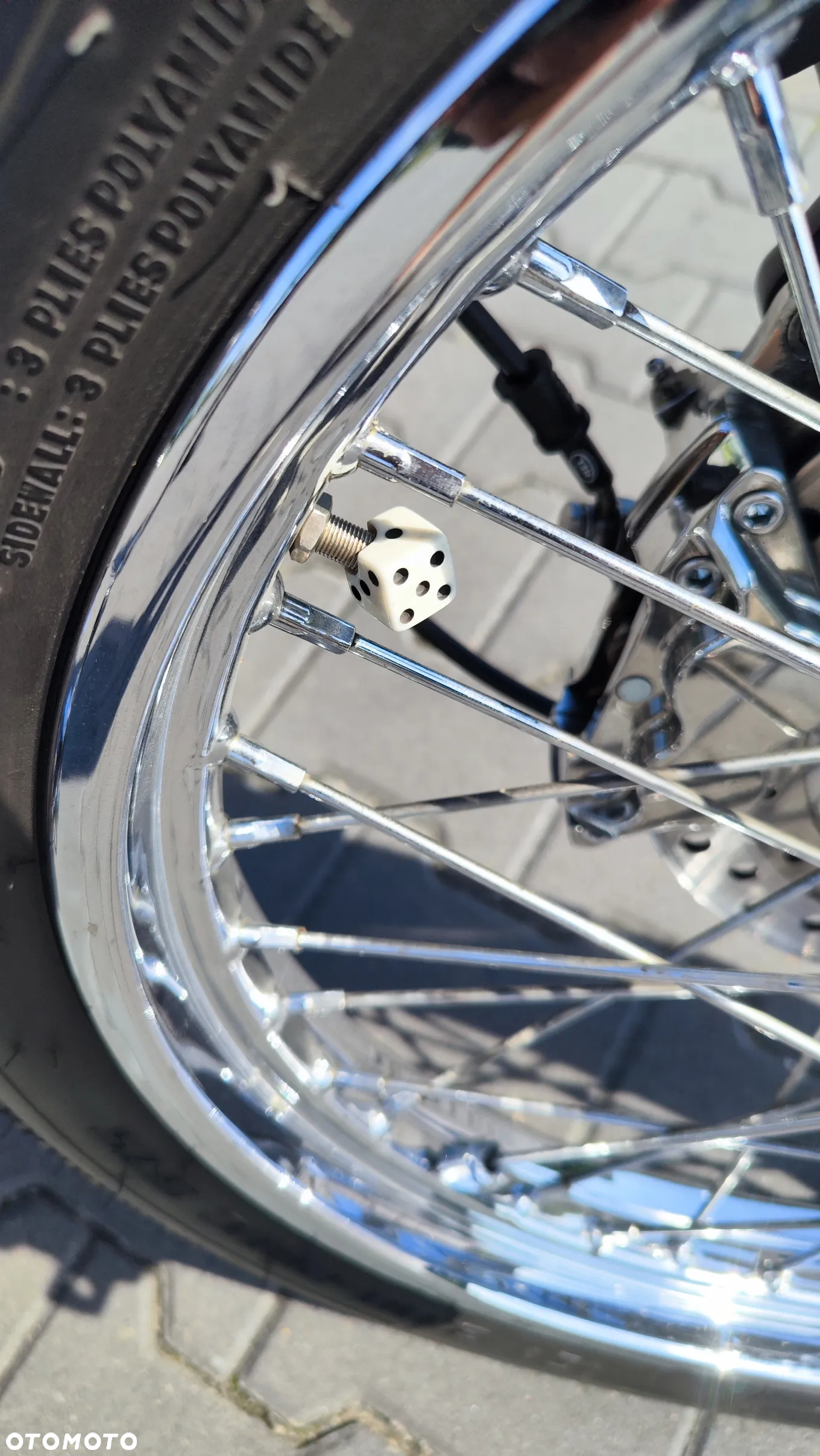 Harley-Davidson Softail - 31