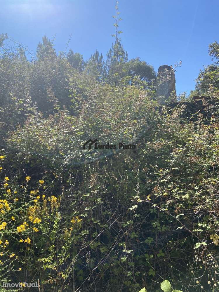 Quinta junto a ribeiro - Grande imagem: 4/10