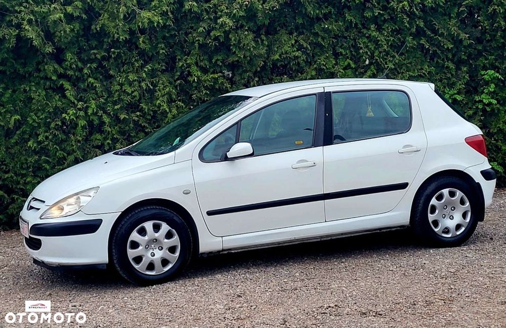 Peugeot 307 - 11