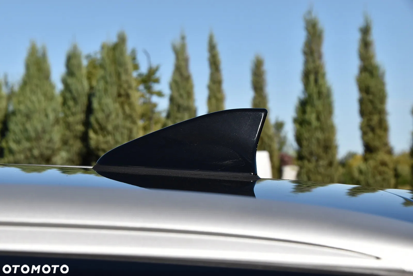 Kia Carens - 15