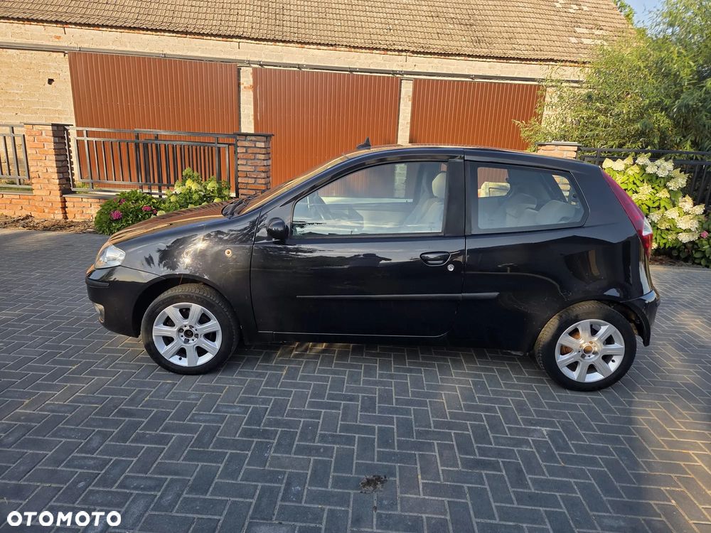 Fiat Punto - 13