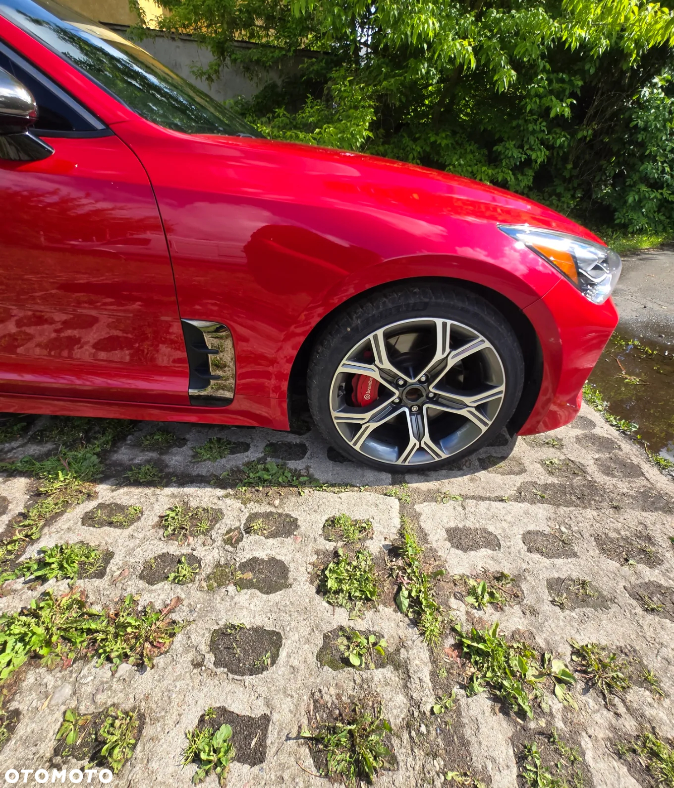 Kia Stinger - 15