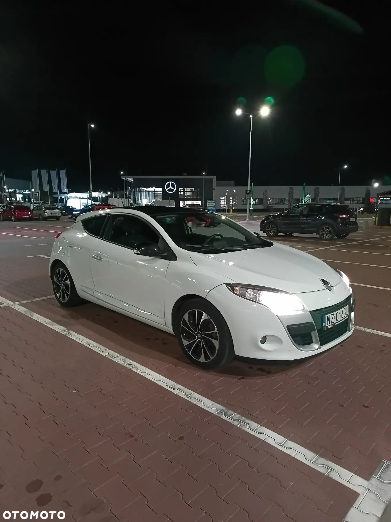 Renault Megane 1.9 dCi Dynamique Euro5 - 1