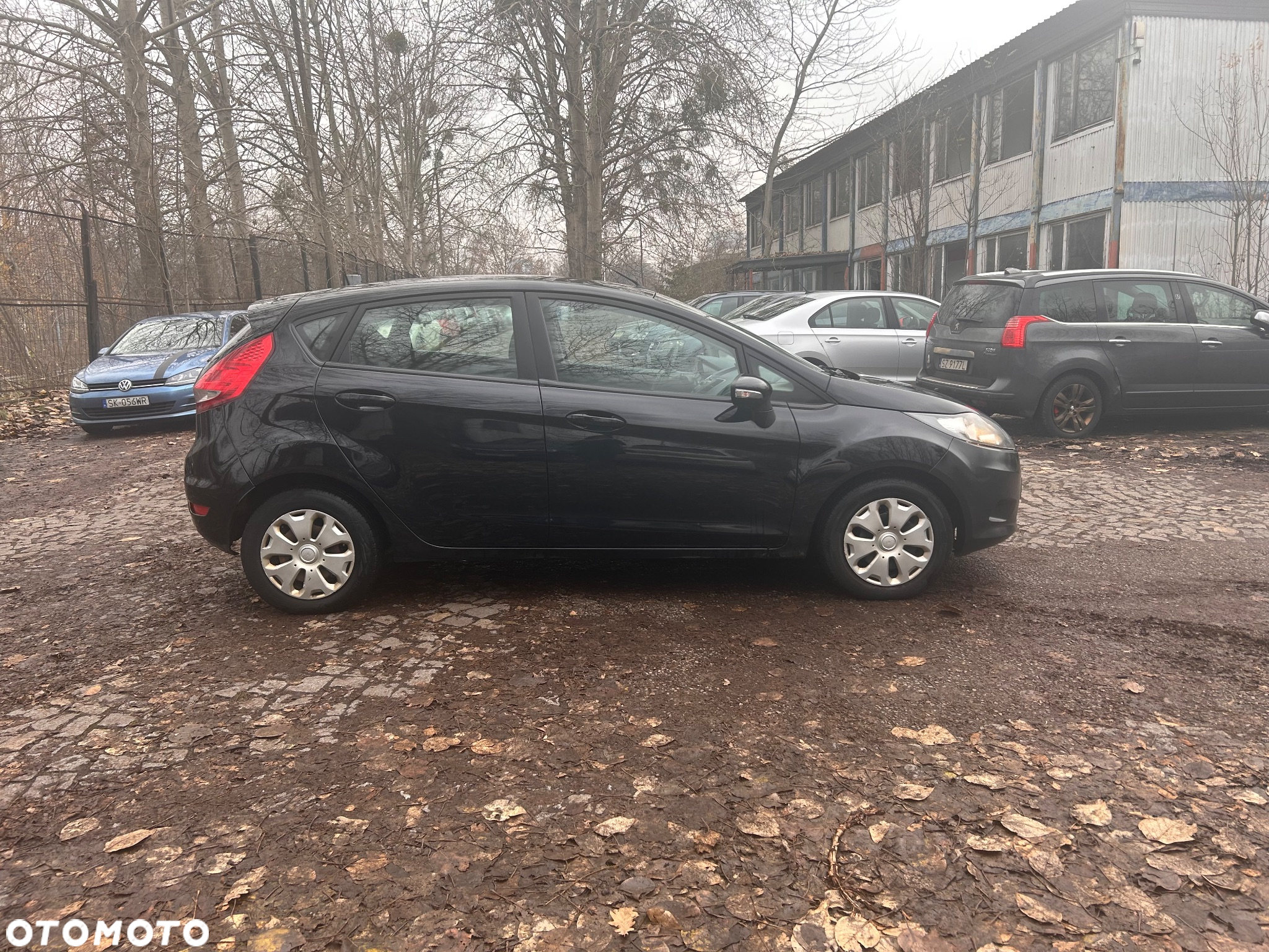 Ford Fiesta 1.4 TDCi Platinium X - 13