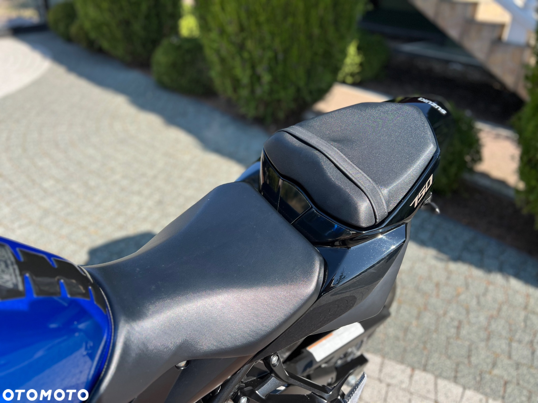 Suzuki GSR - 31