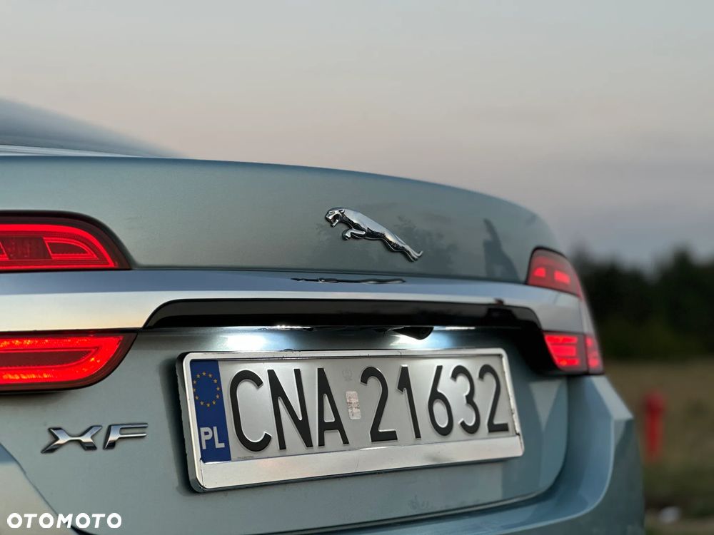 Jaguar XF 3.0 V6 D Luxury - 5