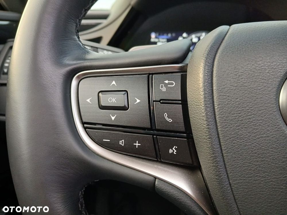 Lexus ES 300h Business Edition - 29