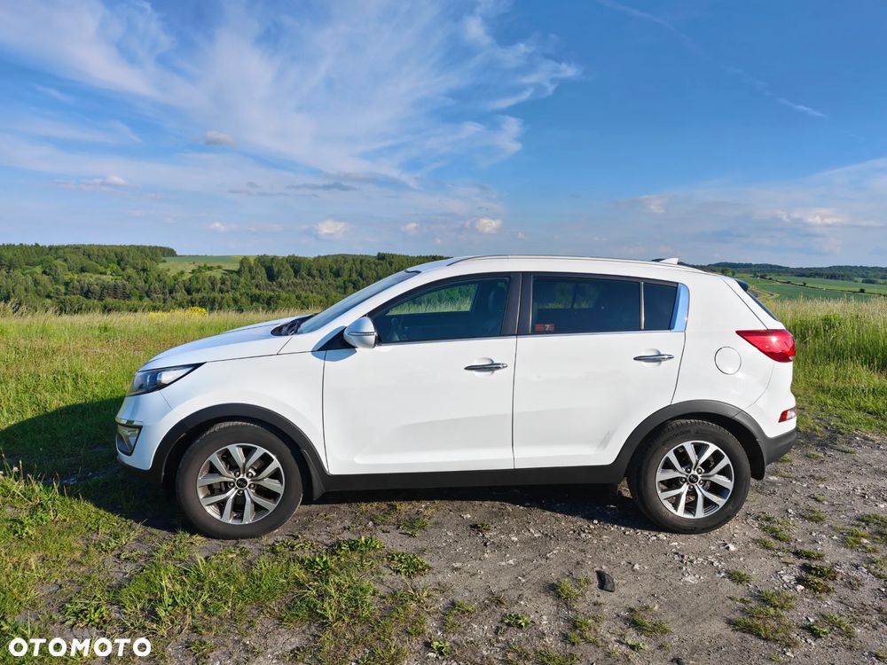 Kia Sportage 1.6 GDI Business Line L 2WD - 1