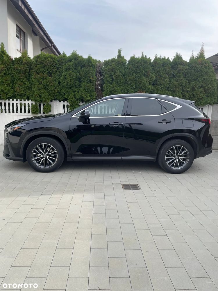 Lexus Nx 2023 photo 5