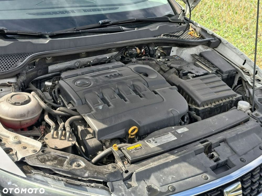 Seat Leon - 31