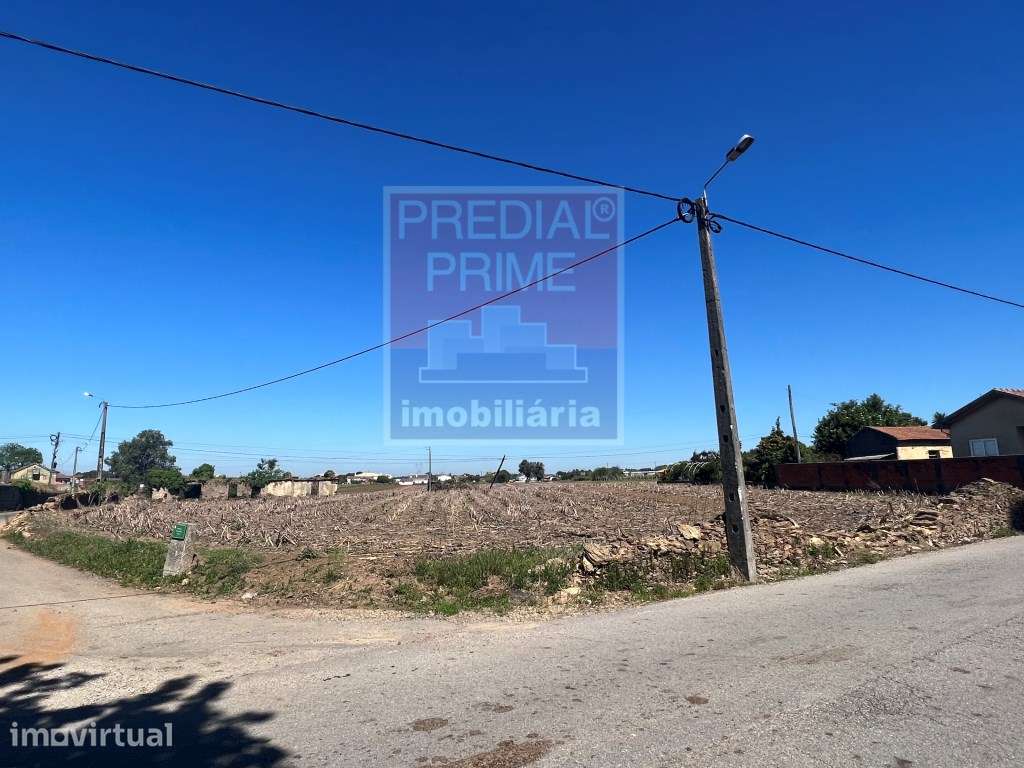 EXCELENTE TERRENO PARA CONSTRUÇÃO EM LOUREIRO - Grande imagem: 2/3