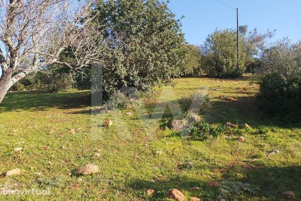 Terreno Rústico no Zambujal - Boliqueime - Grande imagem: 4/20