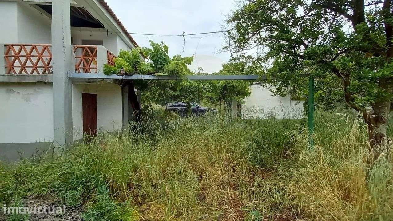 Terreno rústico | 8.160 m² | Casa de apoio T2 | Carregueira, Chamusca - Grande imagem: 4/50