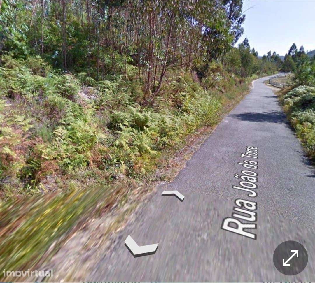 Terreno Rustico em Zona Urbanizavel