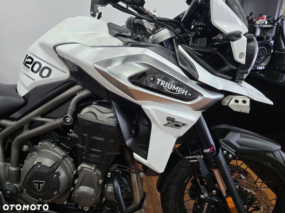 Triumph Tiger - 24