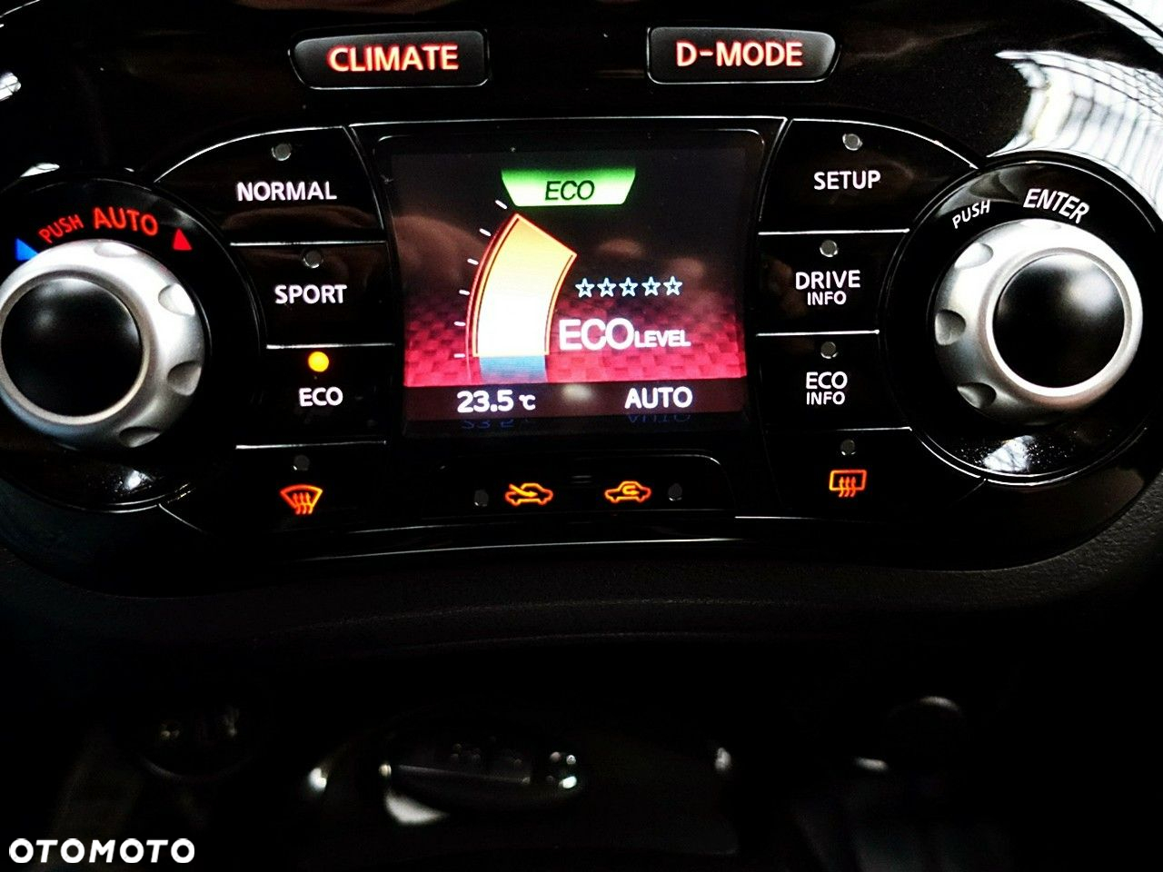 Nissan Juke - 25