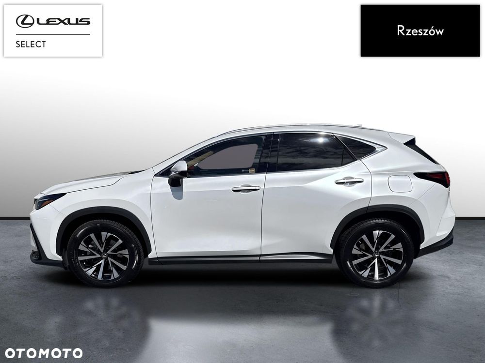Lexus NX - 2