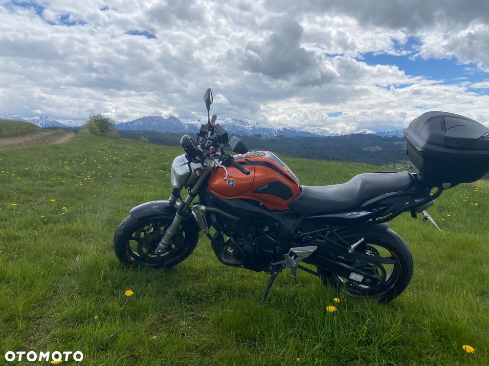 Yamaha FZ6 - 17