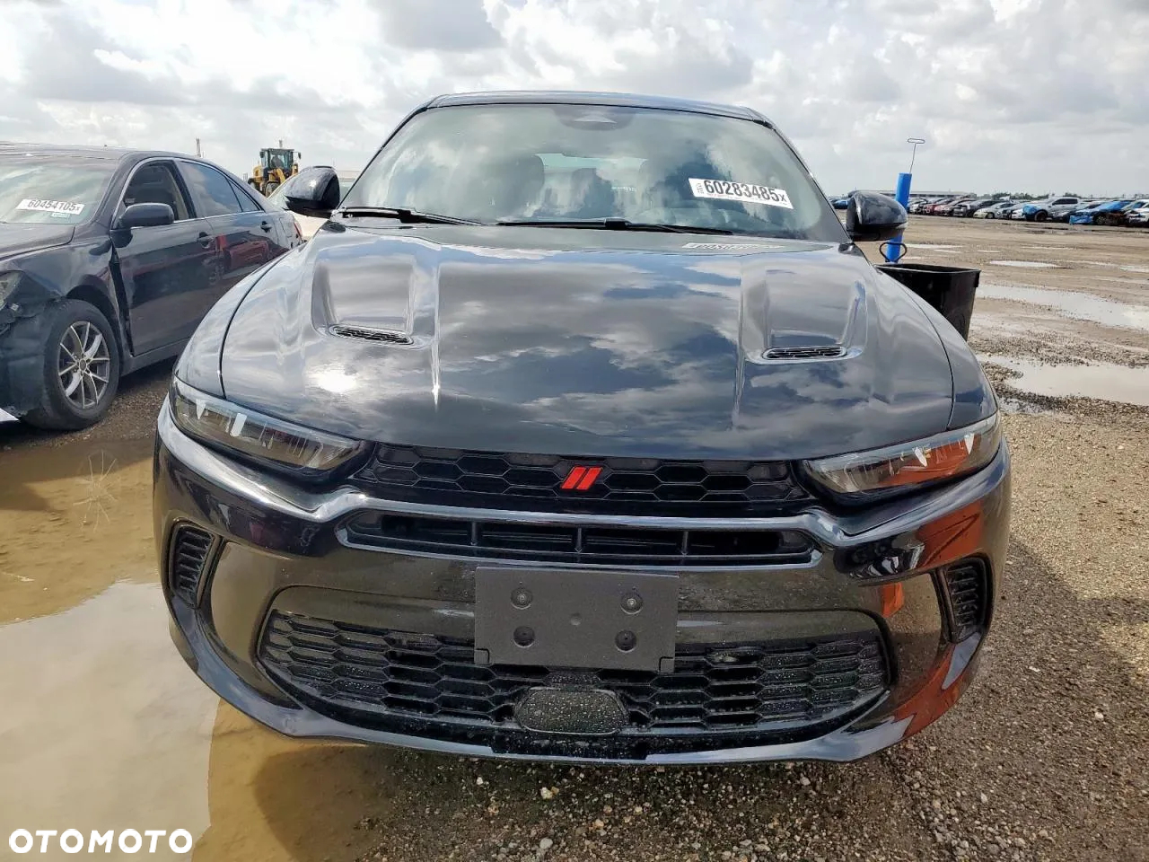 Dodge Hornet - 2